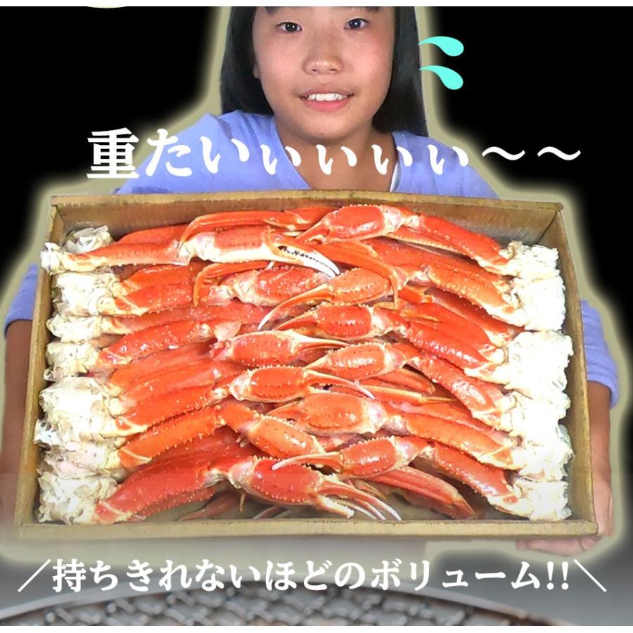 【箱つぶれ限定】ボイル ズワイガニ 脚 5kg 訳あり しゃぶしゃぶ用 ずわい ボイル メガ盛り かに カニ 蟹 歳末 お歳暮 年末グルメ 贈答 迎春 | おさかな問屋 魚奏 | 04