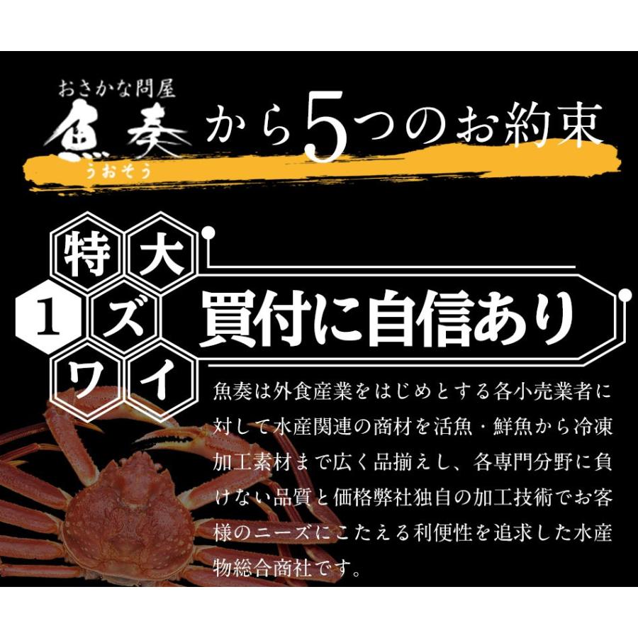 【箱つぶれ限定】ボイル ズワイガニ 脚 5kg 訳あり しゃぶしゃぶ用 ずわい ボイル メガ盛り かに カニ 蟹 歳末 お歳暮 年末グルメ 贈答 迎春 | おさかな問屋 魚奏 | 06