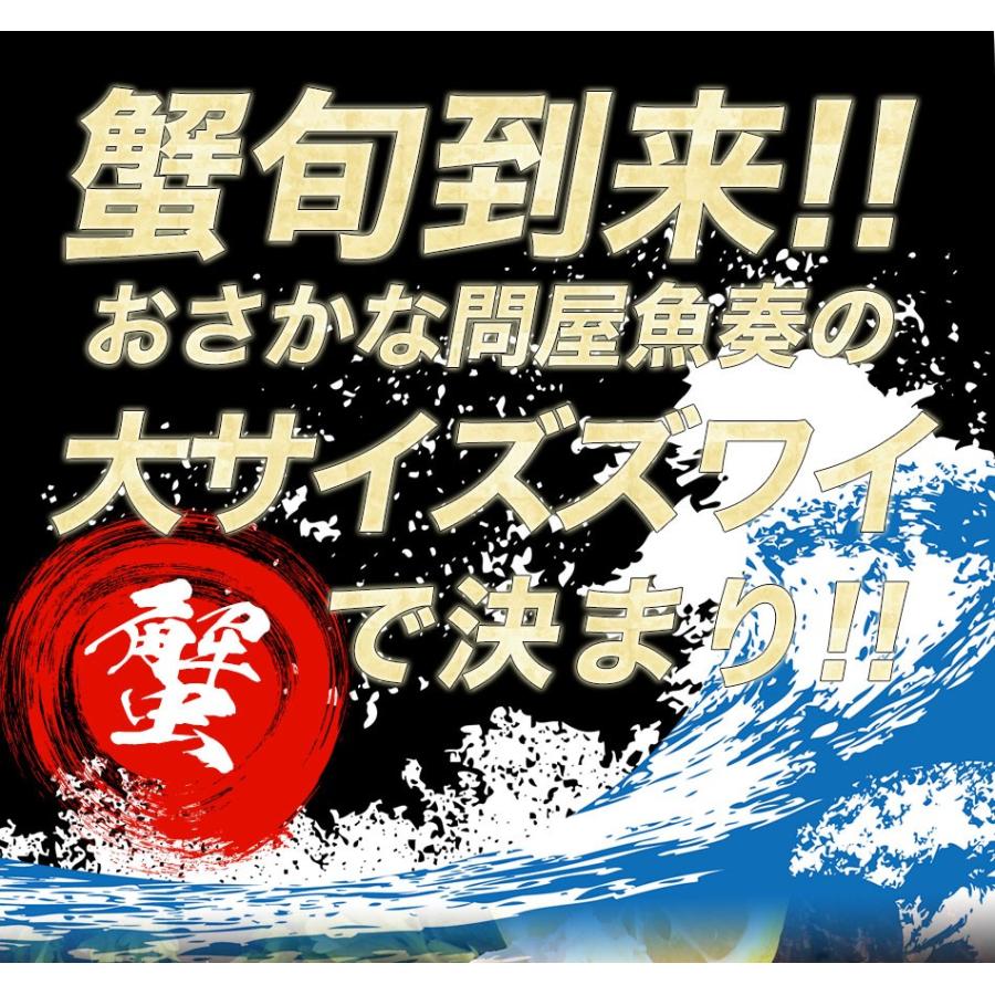 ボイル ズワイガニ 脚 5kg 訳あり しゃぶしゃぶ用 ずわい ボイル メガ盛り かに カニ 蟹 歳末 お歳暮 年末グルメ 贈答 迎春 | おさかな問屋 魚奏 | 01