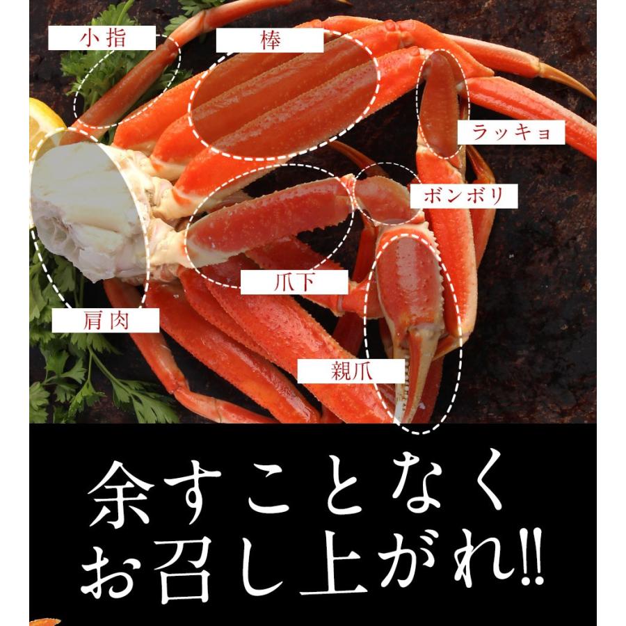 ボイル ズワイガニ 脚 5kg 訳あり しゃぶしゃぶ用 ずわい ボイル メガ盛り かに カニ 蟹 歳末 お歳暮 年末グルメ 贈答 迎春 | おさかな問屋 魚奏 | 16