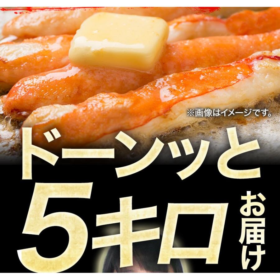ボイル ズワイガニ 脚 5kg 訳あり しゃぶしゃぶ用 ずわい ボイル メガ盛り かに カニ 蟹 歳末 お歳暮 年末グルメ 贈答 迎春 | おさかな問屋 魚奏 | 03