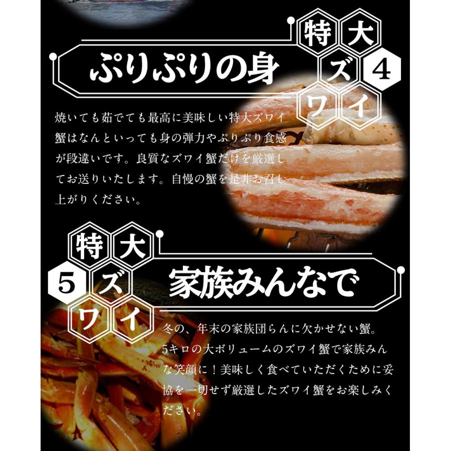 ボイル ズワイガニ 脚 5kg 訳あり しゃぶしゃぶ用 ずわい ボイル メガ盛り かに カニ 蟹 歳末 お歳暮 年末グルメ 贈答 迎春 | おさかな問屋 魚奏 | 08