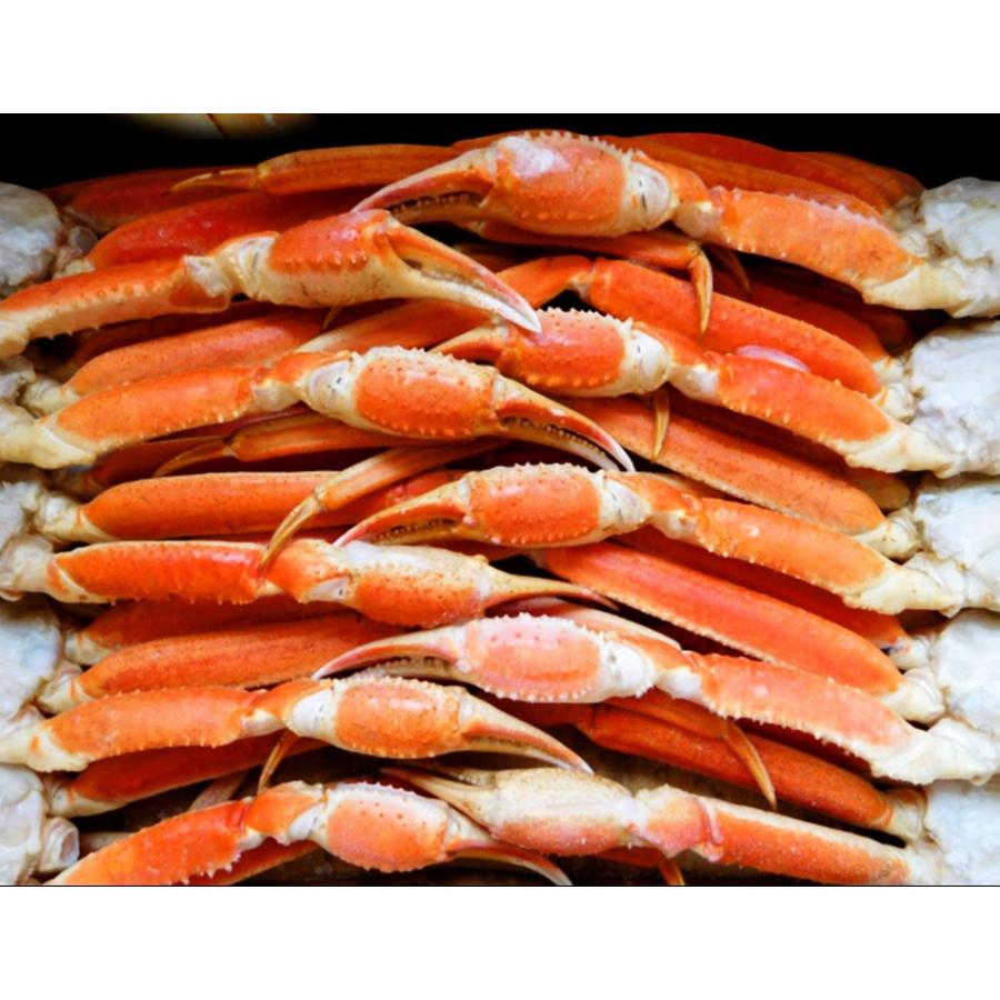 ボイルずわいがに 5kg 訳あり かに カニ 蟹 脚 ずわいがに ずわいかにしゃぶしゃぶ用 かに ボイル 送料無料 激安 最安 メガ盛り おさかな問屋 魚奏 通販 Yahoo ショッピング