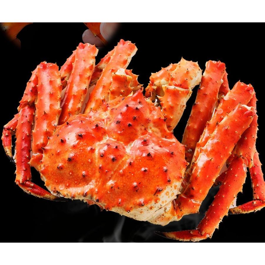 おさかな問屋 魚奏 ボイル タラバガニ 特大3kg 5Lサイズ 脚 3肩