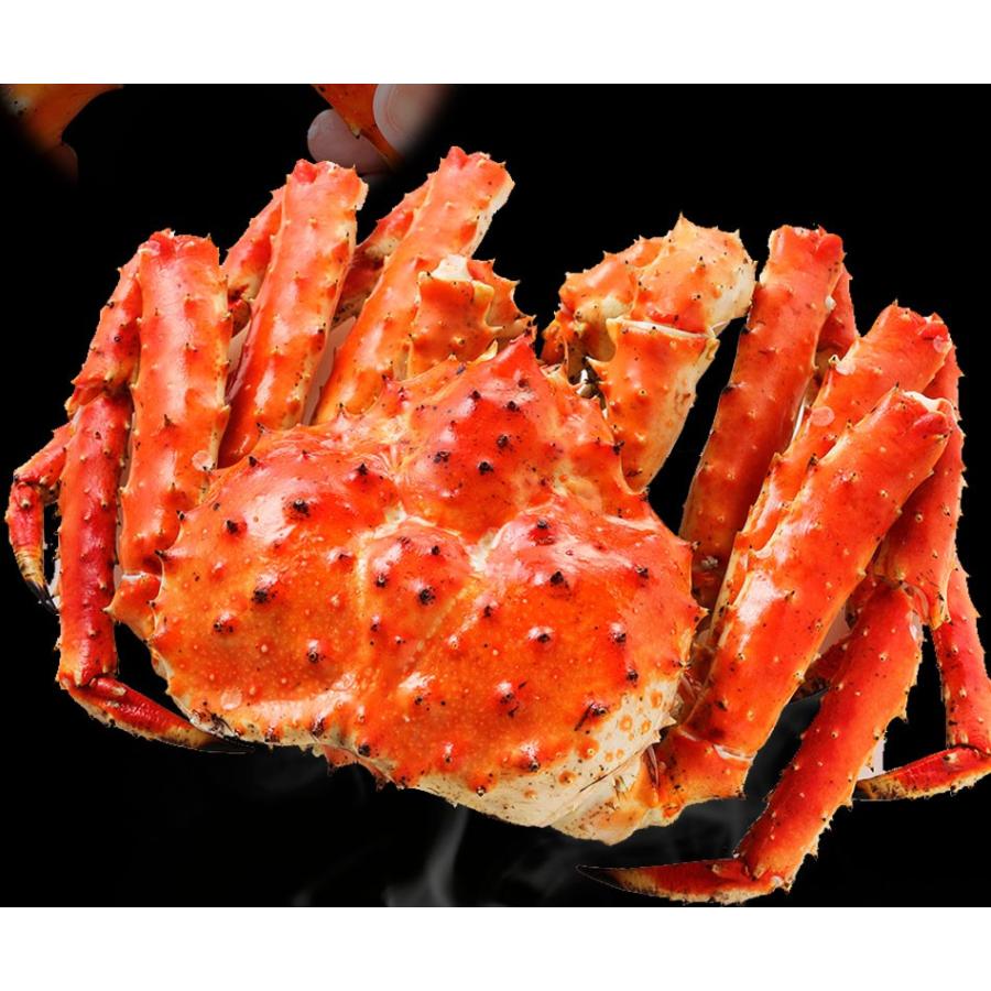 ボイル タラバガニ 特大1kg 2〜3人前 5Lサイズ かに カニ 蟹 たらば 歳末 お歳暮 年末グルメ 贈答 迎春 | おさかな問屋 魚奏 | 09