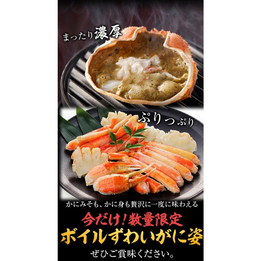 訳あり ボイル ズワイガニ 姿 特大 4尾 約2.4kg ずわいがに 差脚 良品 かに カニ 蟹 歳末 お歳暮 年末グルメ 贈答 迎春 | おさかな問屋 魚奏 | 17