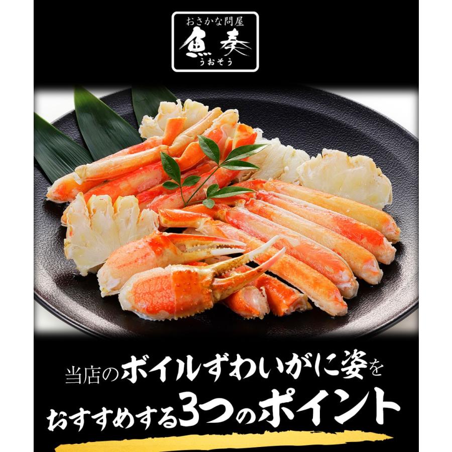 訳あり ボイル ズワイガニ 姿 特大 4尾 約2.4kg ずわいがに 差脚 良品 かに カニ 蟹 歳末 お歳暮 年末グルメ 贈答 迎春 | おさかな問屋 魚奏 | 04