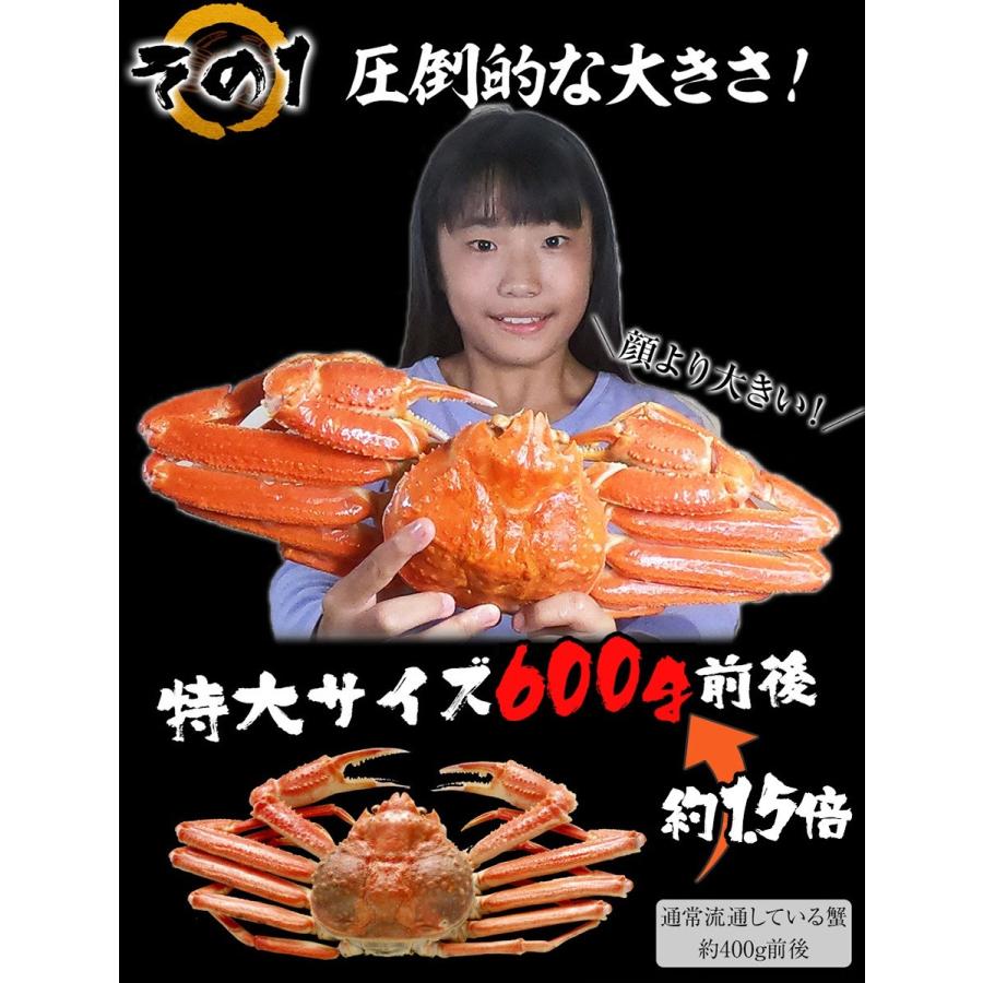 訳あり ボイル ズワイガニ 姿 特大 4尾 約2.4kg ずわいがに 差脚 良品 かに カニ 蟹 歳末 お歳暮 年末グルメ 贈答 迎春 | おさかな問屋 魚奏 | 06