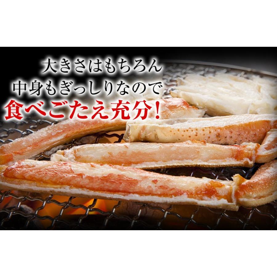 訳あり ボイル ズワイガニ 姿 特大 4尾 約2.4kg ずわいがに 差脚 良品 かに カニ 蟹 歳末 お歳暮 年末グルメ 贈答 迎春 | おさかな問屋 魚奏 | 07
