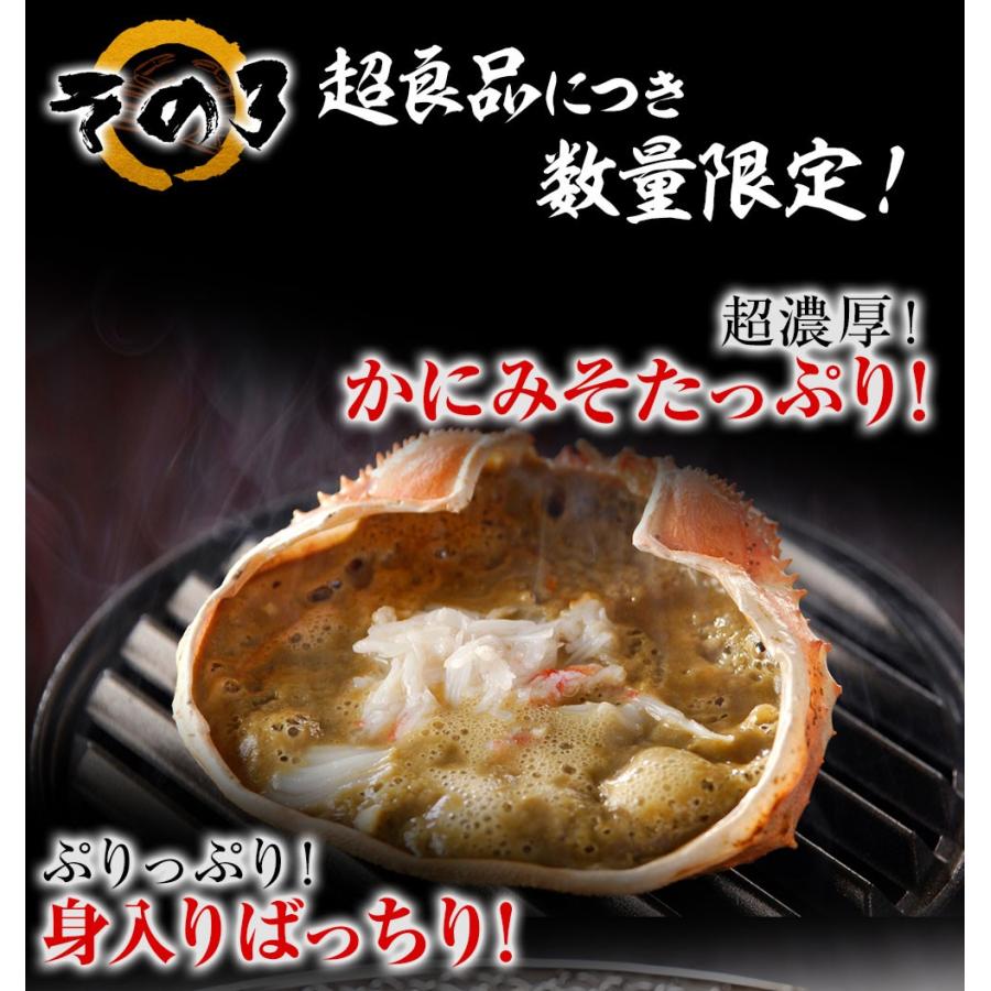 訳あり ボイル ズワイガニ 姿 特大 4尾 約2.4kg ずわいがに 差脚 良品 かに カニ 蟹 歳末 お歳暮 年末グルメ 贈答 迎春 | おさかな問屋 魚奏 | 09