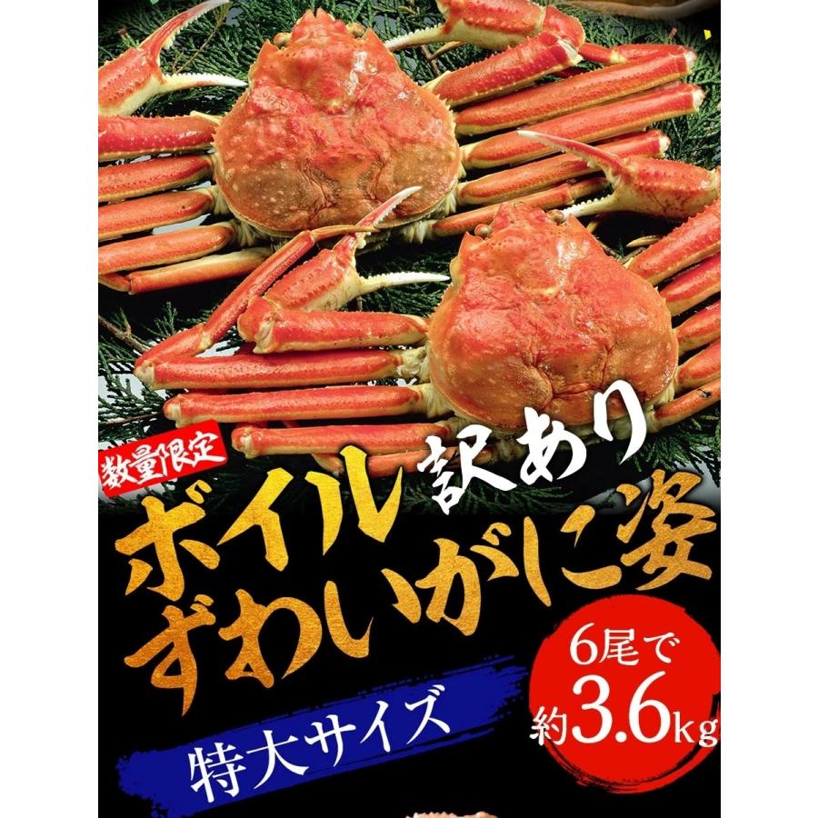 おさかな問屋 魚奏 訳あり ボイル ズワイガニ 姿 特大 6尾 約3.6kg