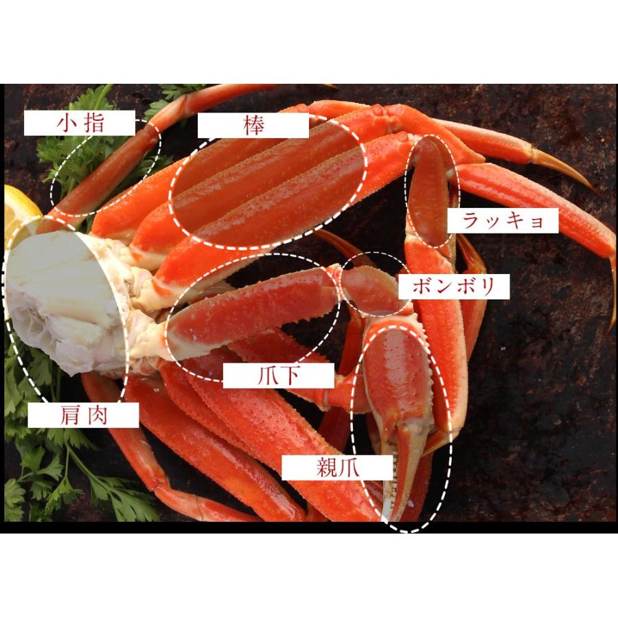 訳あり ボイル ズワイガニ 姿 特大 2尾 約1.2kg ずわいがに ギフトかに カニ 蟹 歳末 お歳暮 年末グルメ 贈答 迎春 | おさかな問屋 魚奏 | 11
