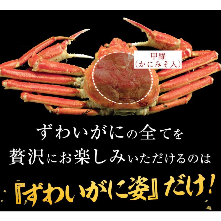 訳あり ボイル ズワイガニ 姿 特大 2尾 約1.2kg ずわいがに ギフトかに カニ 蟹 歳末 お歳暮 年末グルメ 贈答 迎春 | おさかな問屋 魚奏 | 12