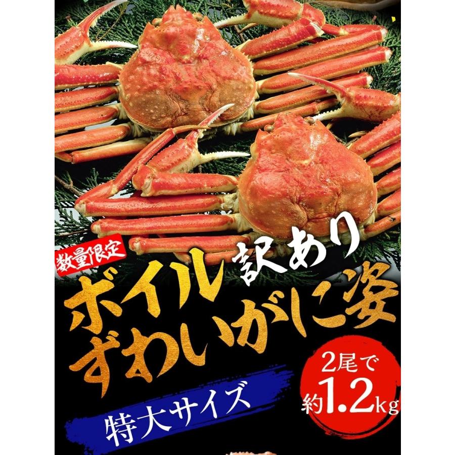 訳あり ボイル ズワイガニ 姿 特大 2尾 約1.2kg ずわいがに ギフトかに カニ 蟹 歳末 お歳暮 年末グルメ 贈答 迎春 | おさかな問屋 魚奏 | 02