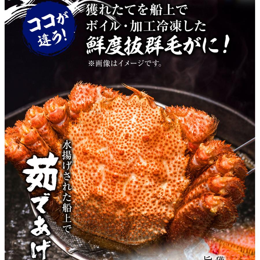 ボイル 毛ガニ 姿 特大 2尾 1.6kg〜1.8kg 毛蟹 訳あり 歳暮 中元 ギフト かに カニ 蟹 歳末 お歳暮 年末グルメ 贈答 迎春 | おさかな問屋 魚奏 | 07