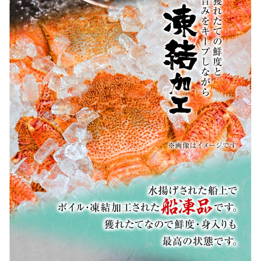 ボイル 毛ガニ 姿 特大 2尾 1.6kg〜1.8kg 毛蟹 訳あり 歳暮 中元 ギフト かに カニ 蟹 歳末 お歳暮 年末グルメ 贈答 迎春 | おさかな問屋 魚奏 | 08