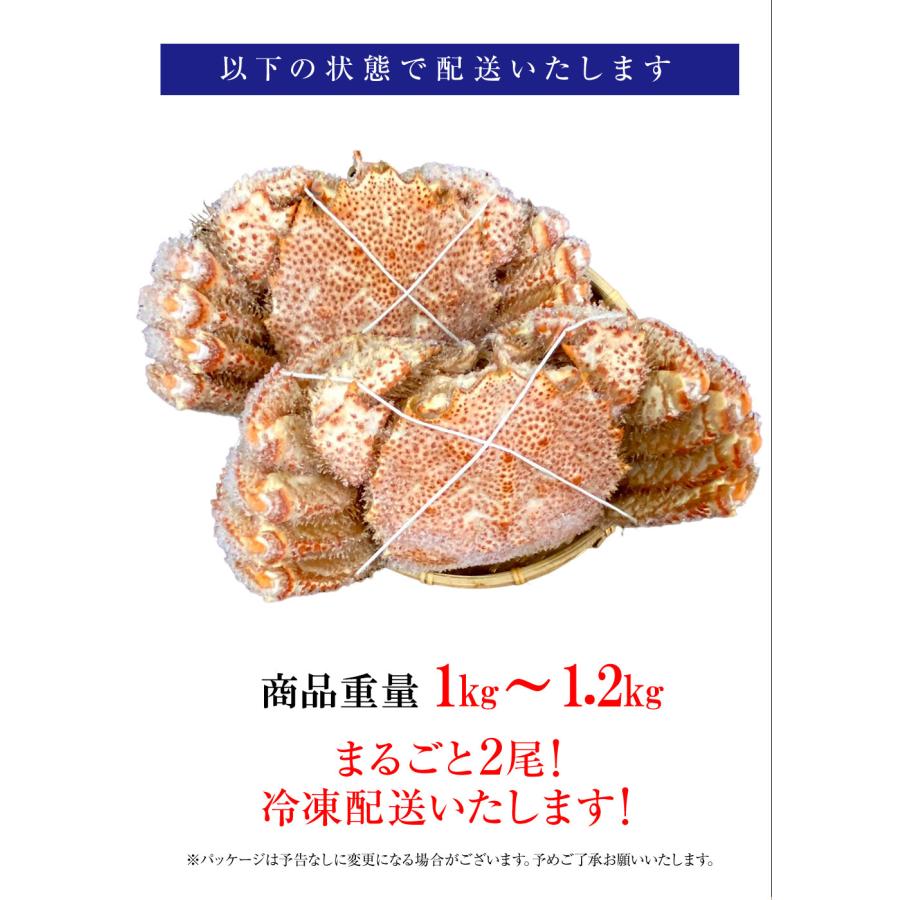 ボイル 毛ガニ 姿 大 2尾 1kg〜1.2g 毛蟹 訳あり 歳暮 中元 ギフト 進物 かに カニ 蟹 鍋 歳末 お歳暮 年末グルメ 贈答 迎春 | おさかな問屋 魚奏 | 11