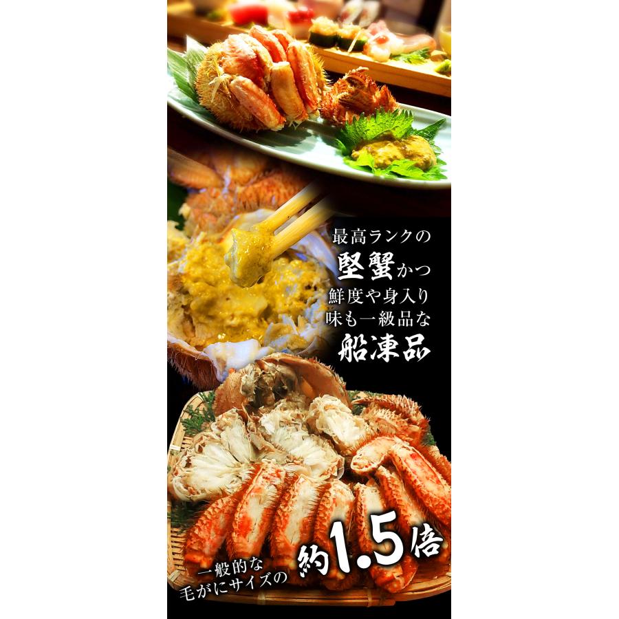 ボイル 毛ガニ 姿 大 2尾 1kg〜1.2g 毛蟹 訳あり 歳暮 中元 ギフト 進物 かに カニ 蟹 鍋 歳末 お歳暮 年末グルメ 贈答 迎春 | おさかな問屋 魚奏 | 12