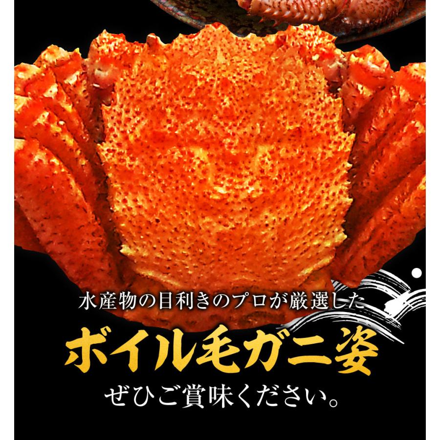 ボイル 毛ガニ 姿 大 2尾 1kg〜1.2g 毛蟹 訳あり 歳暮 中元 ギフト 進物 かに カニ 蟹 鍋 歳末 お歳暮 年末グルメ 贈答 迎春 | おさかな問屋 魚奏 | 03