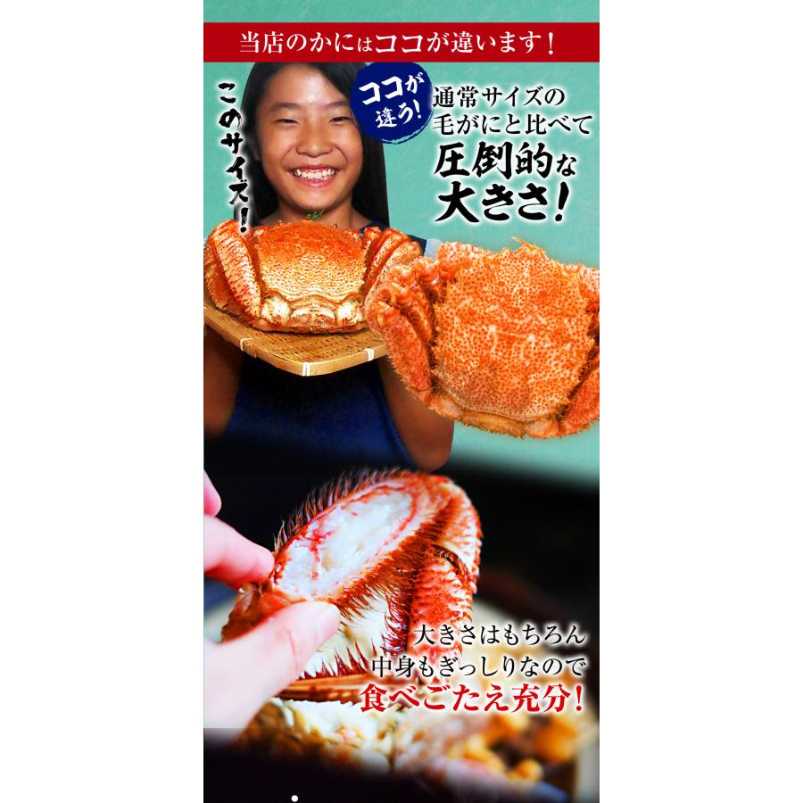 ボイル 毛ガニ 姿 大 2尾 1kg〜1.2g 毛蟹 訳あり 歳暮 中元 ギフト 進物 かに カニ 蟹 鍋 歳末 お歳暮 年末グルメ 贈答 迎春 | おさかな問屋 魚奏 | 04