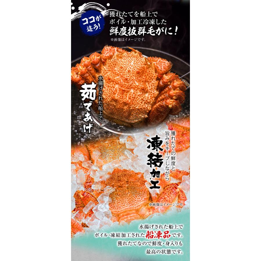 ボイル 毛ガニ 姿 大 2尾 1kg〜1.2g 毛蟹 訳あり 歳暮 中元 ギフト 進物 かに カニ 蟹 鍋 歳末 お歳暮 年末グルメ 贈答 迎春 | おさかな問屋 魚奏 | 05