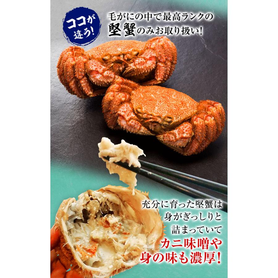 おさかな問屋 魚奏 ボイル 毛ガニ 姿 大 2尾 1kg〜1.2g 毛蟹 訳あり
