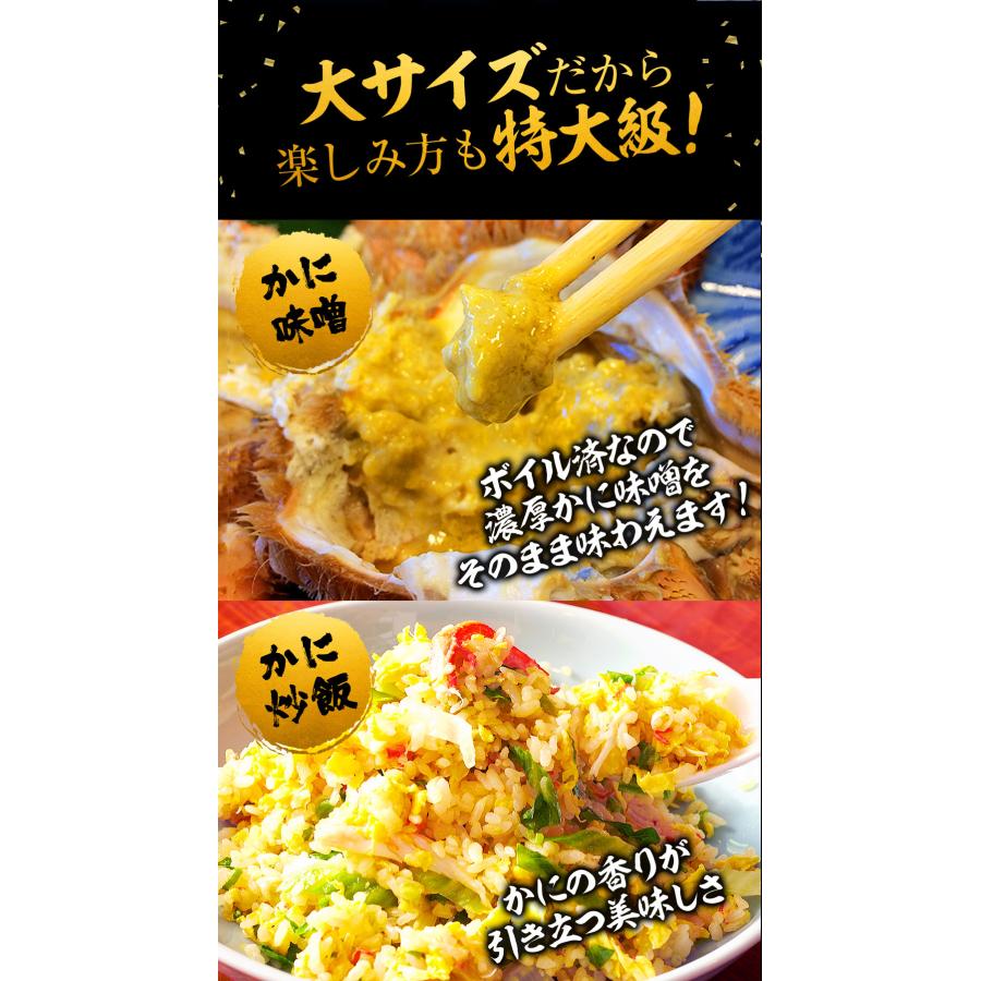 ボイル 毛ガニ 姿 大 2尾 1kg〜1.2g 毛蟹 訳あり 歳暮 中元 ギフト 進物 かに カニ 蟹 鍋 歳末 お歳暮 年末グルメ 贈答 迎春 | おさかな問屋 魚奏 | 09