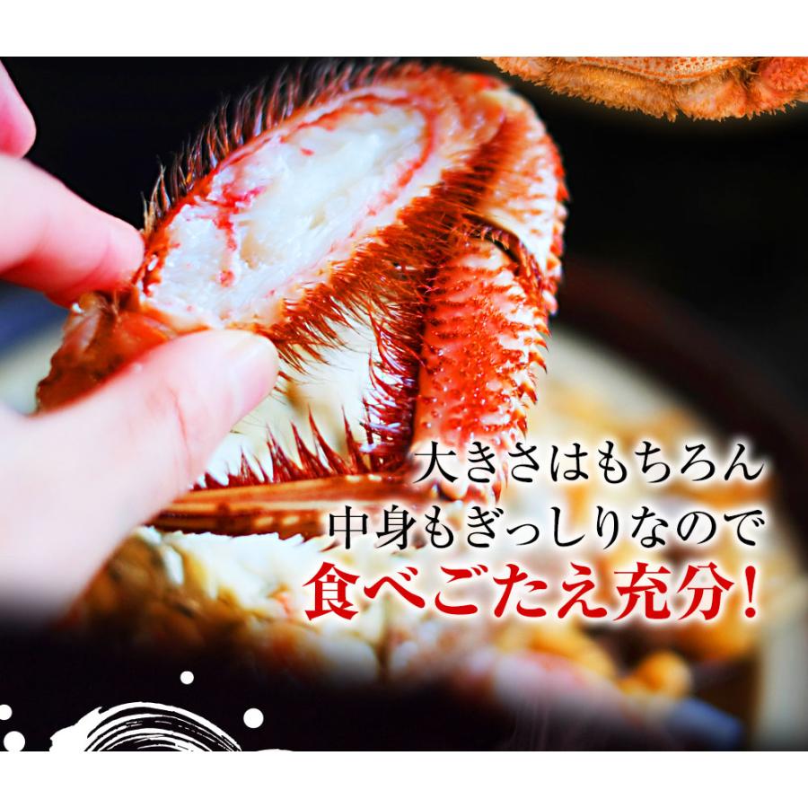 ボイル 毛ガニ 姿 特大 800g〜900g かに カニ 蟹 毛がに 毛蟹 ボイル 訳あり お歳暮 BBQ｜uosou｜06