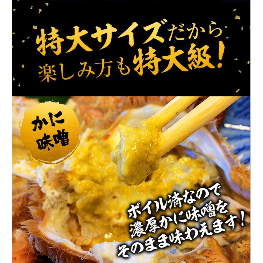 ボイル 毛ガニ 姿 特大 800g〜900g かに カニ 蟹 毛がに 毛蟹 ボイル 訳あり お歳暮 BBQ 歳末 お歳暮 年末グルメ 贈答 迎春 | おさかな問屋 魚奏 | 13