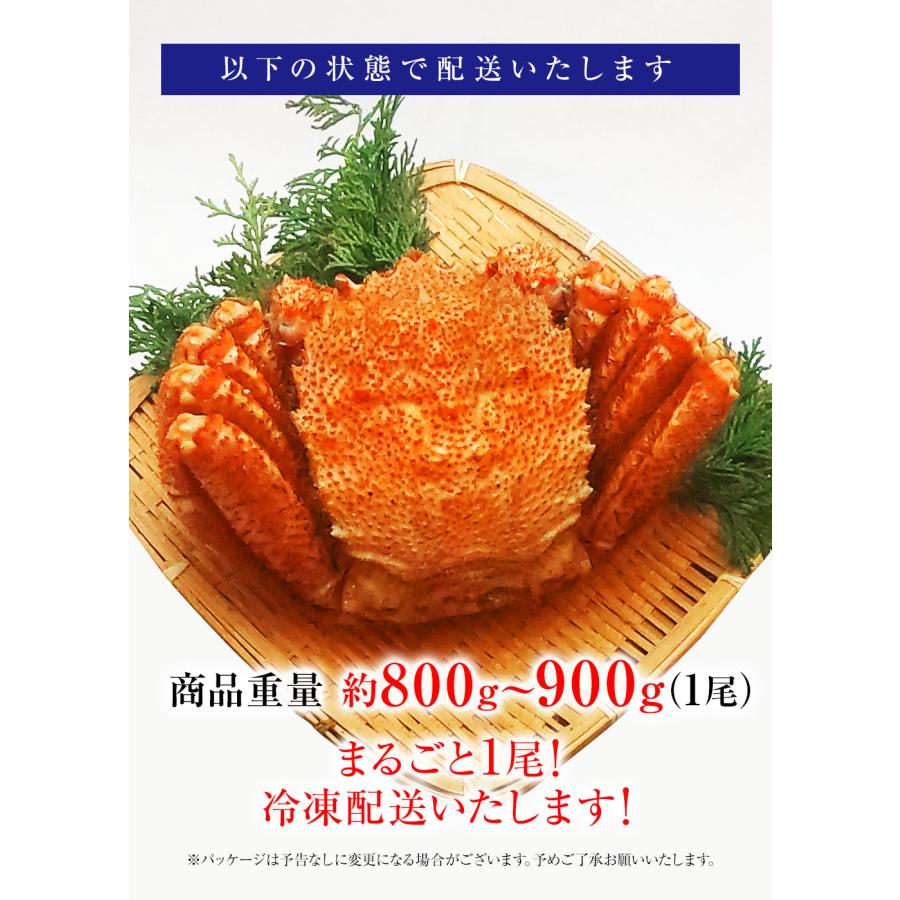 ボイル 毛ガニ 姿 特大 800g〜900g かに カニ 蟹 毛がに 毛蟹 ボイル 訳あり お歳暮 BBQ 歳末 お歳暮 年末グルメ 贈答 迎春 | おさかな問屋 魚奏 | 16