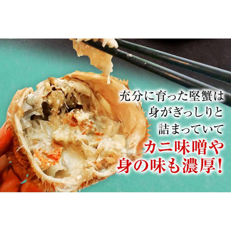 ボイル 毛ガニ 姿 特大 800g〜900g かに カニ 蟹 毛がに 毛蟹 ボイル 訳あり お歳暮 BBQ 歳末 お歳暮 年末グルメ 贈答 迎春 | おさかな問屋 魚奏 | 09