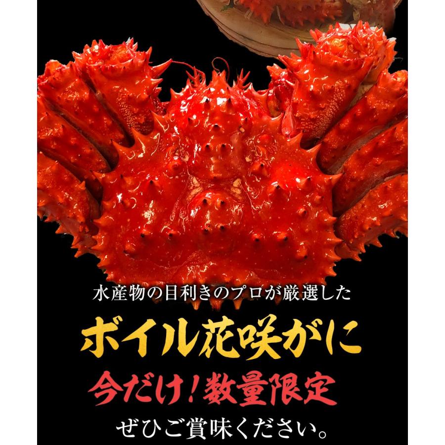 ボイル 国産花咲がに 花咲ガニ2尾1kg〜1.2kg大サイズ 希少 姿身 姿 花咲蟹 花咲ガニ 北海道産 歳末 お歳暮 年末グルメ 贈答 迎春 | おさかな問屋 魚奏 | 04