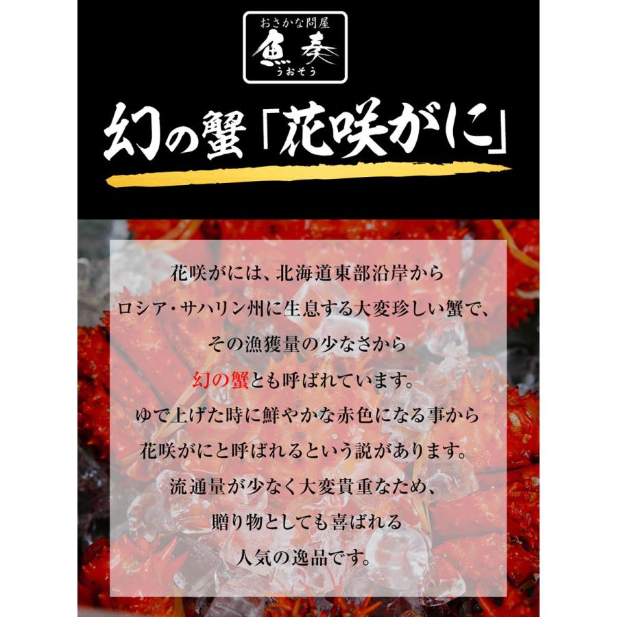 ボイル 国産花咲がに 花咲ガニ2尾1kg〜1.2kg大サイズ 希少 姿身 姿 花咲蟹 花咲ガニ 北海道産 歳末 お歳暮 年末グルメ 贈答 迎春 | おさかな問屋 魚奏 | 05
