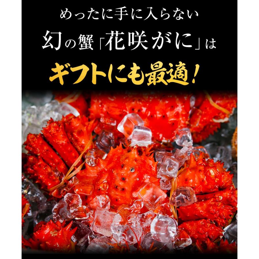 ボイル 国産花咲がに 花咲ガニ2尾1kg〜1.2kg大サイズ 希少 姿身 姿 花咲蟹 花咲ガニ 北海道産 歳末 お歳暮 年末グルメ 贈答 迎春 | おさかな問屋 魚奏 | 09