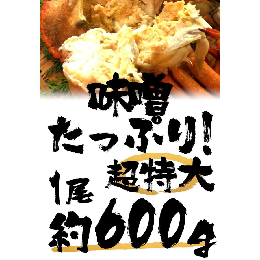 ボイル ストーンクラブ 4尾 約2.5kg 約600g×4 特大 希少 姿身 ストーンクラブ｜uosou｜13