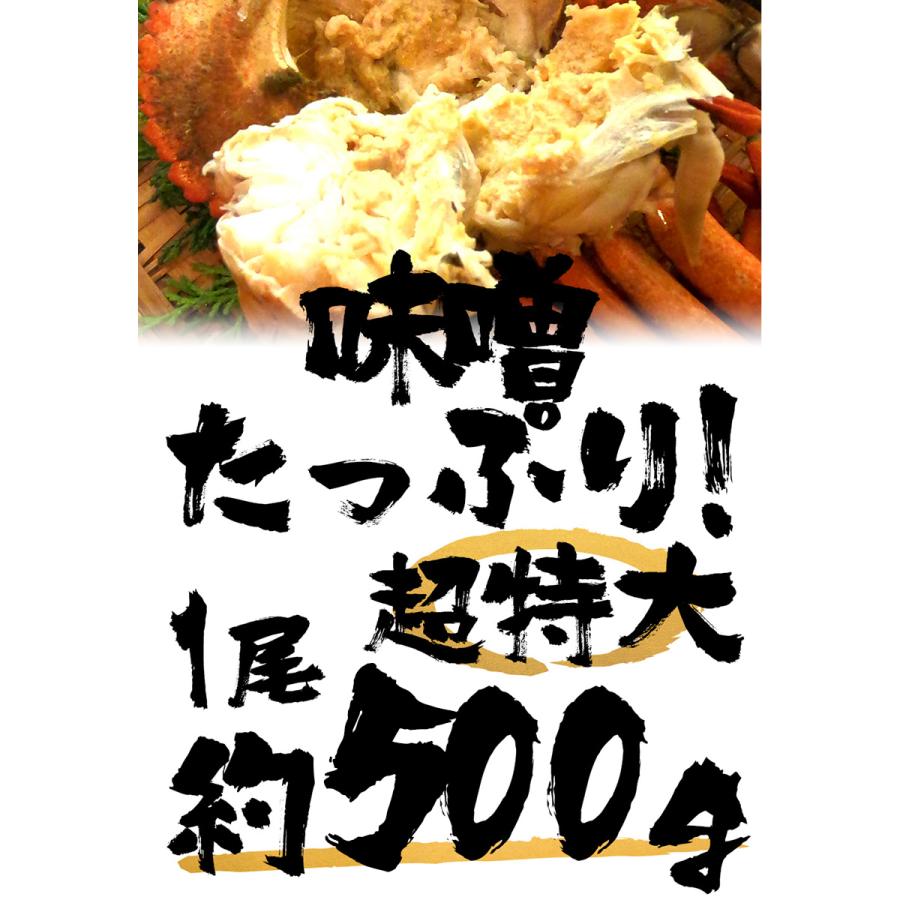 ボイル ストーンクラブ 4尾 約2.0kg 約500g×4 特大 希少 姿身 ストーンクラブ かに カニ 蟹 歳末 お歳暮 年末グルメ 贈答 迎春 | おさかな問屋 魚奏 | 12