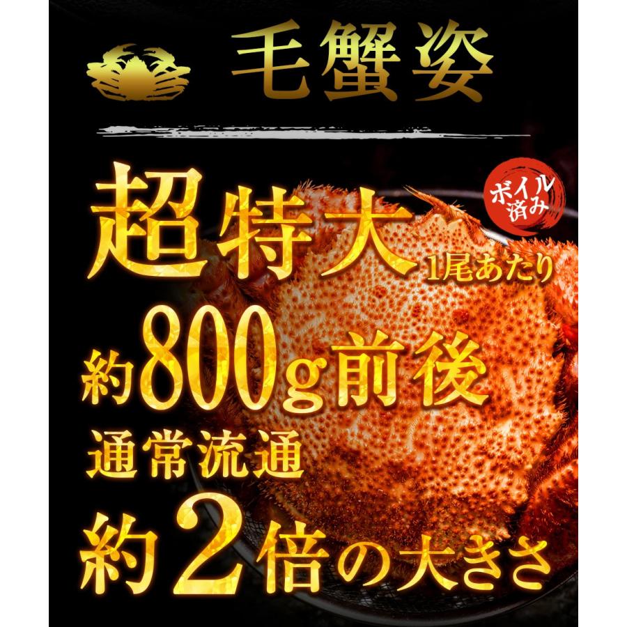 ボイル 三大蟹セット タラバガニ 肩 ズワイガニ 毛がに 総重量 約4.6〜4.8kg たらば ずわい 毛蟹 歳末 お歳暮 年末グルメ 贈答 迎春 | おさかな問屋 魚奏 | 11
