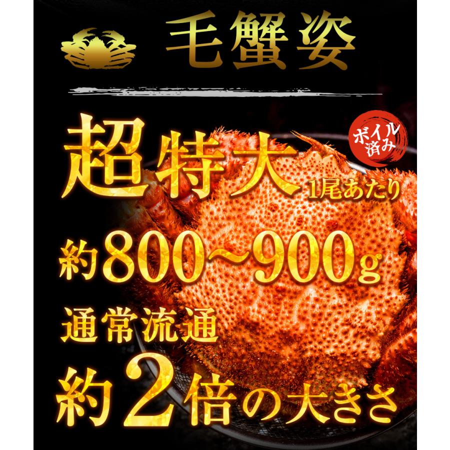 訳あり 特大 ボイル 蟹 姿まるごと満足セット ズワイガニ 花咲ガニ 毛ガニ 総重量約2.0〜2.2kg｜uosou｜09