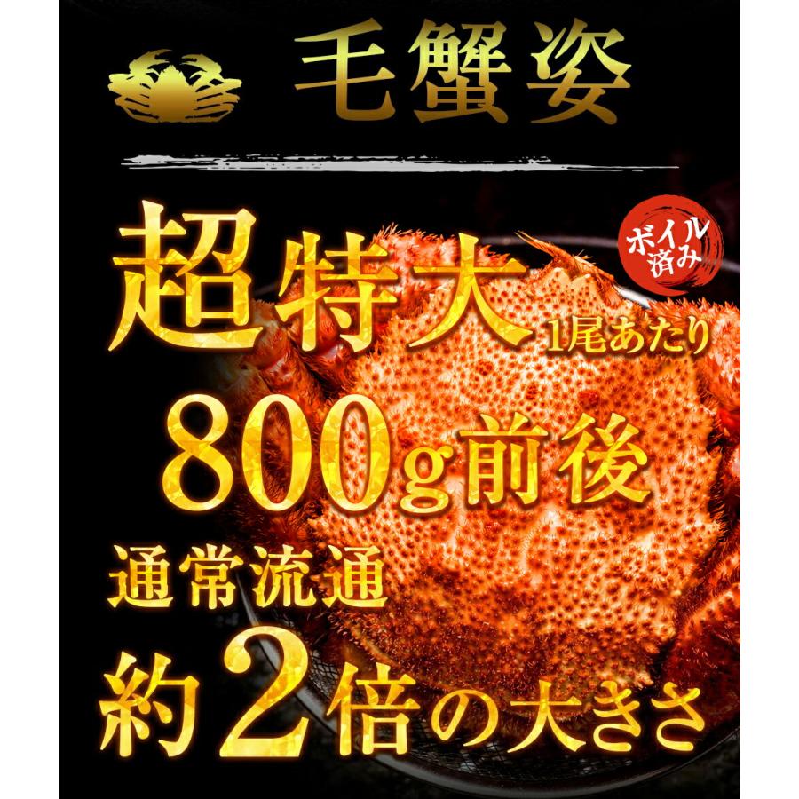 特大 ボイル 蟹 姿まるごと満足セット ズワイガニ 毛ガニ 花咲ガニ 総重量 約3.8〜4.2kg ずわい 歳末 お歳暮 年末グルメ 贈答 迎春 | おさかな問屋 魚奏 | 08