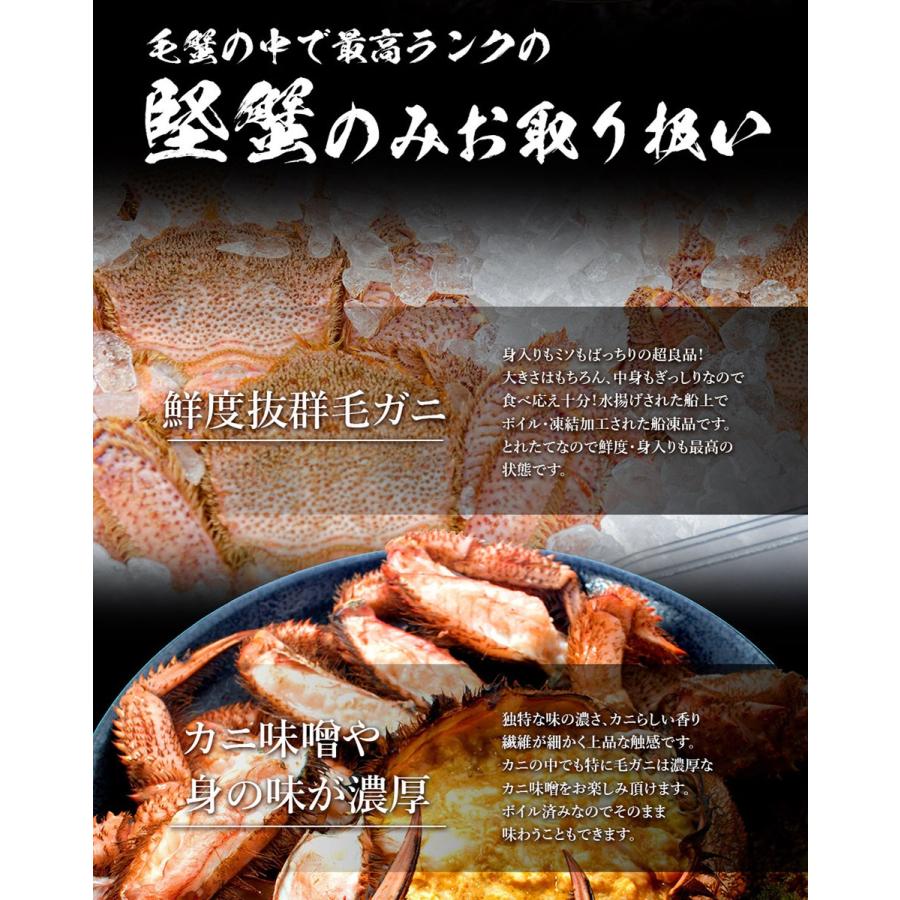 特大 ボイル 蟹 姿まるごと満足セット ズワイガニ 毛ガニ 花咲ガニ 総重量 約3.8〜4.2kg ずわい 歳末 お歳暮 年末グルメ 贈答 迎春 | おさかな問屋 魚奏 | 09