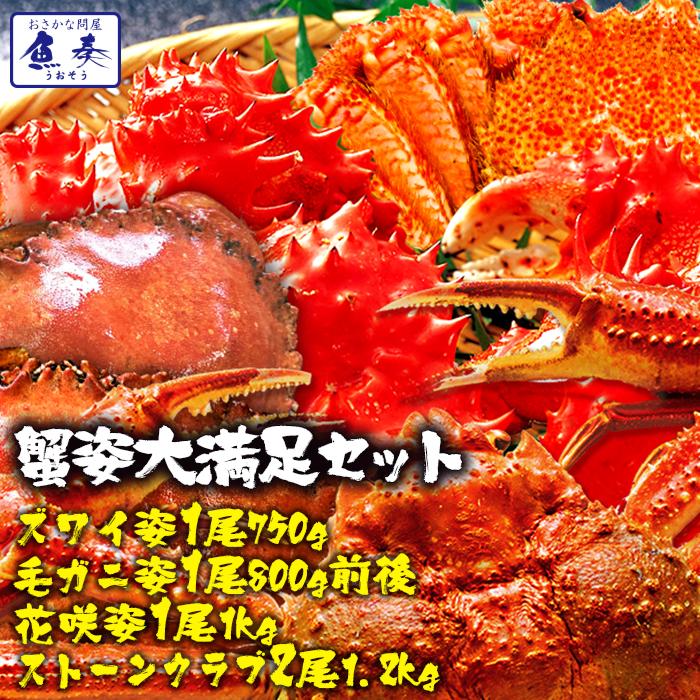 最安値に挑戦 姿大満足セット 送料無料 かに カニ 特大 総重量約4kg ずわいがに ずわい蟹 毛がに 毛ガニ 毛蟹 花咲 ハナサキ 花咲蟹 ストーンクラブ 新発 Mediquicklab Com