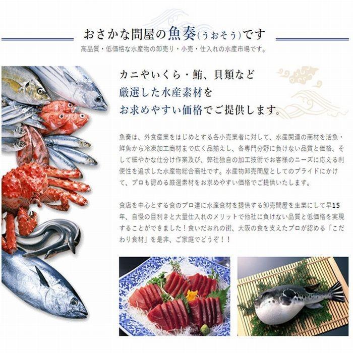 まぐろ切り落し 500g 冷凍 訳あり マグロ 鮪 刺身 鉄火丼 最安値 在宅 母の日 父の日 敬老 在宅応援 お中元 お歳暮 ギフト｜uosou｜06