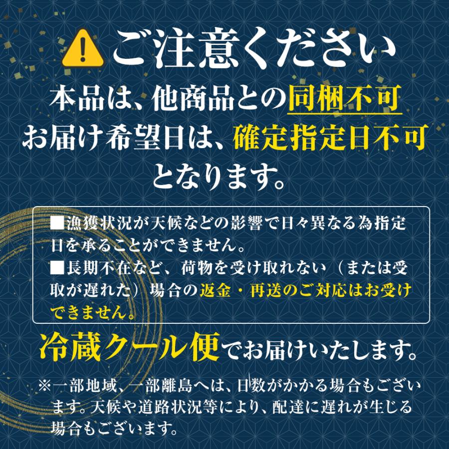 特大生さんま 2kg（12/13尾） 送料無料 生食可能 さんま サンマ 秋刀魚 北海道 → 三陸 歳末 お歳暮 年末グルメ 贈答 迎春 | おさかな問屋 魚奏 | 10