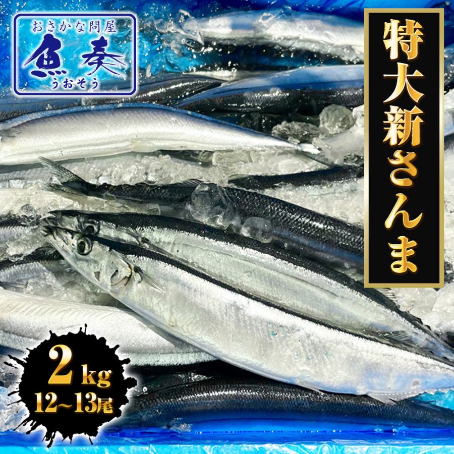 特大生さんま 2kg（12/13尾） 送料無料 生食可能 さんま サンマ 秋刀魚 北海道 → 三陸 歳末 お歳暮 年末グルメ 贈答 迎春 | おさかな問屋 魚奏 | 16