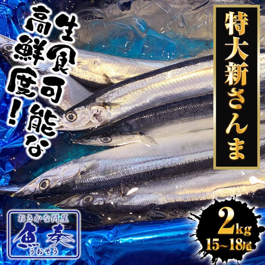 特大生さんま 2kg（15/18尾） 送料無料 生食可能 さんま サンマ 秋刀魚 北海道 → 三陸 母の日 父の日 敬老 中元 ギフト | おさかな問屋 魚奏 | 01