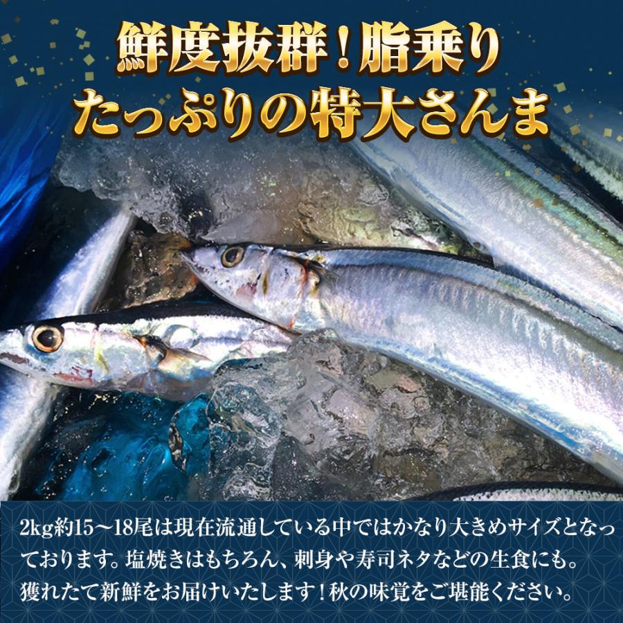 特大生さんま 2kg（15/18尾） 送料無料 生食可能 さんま サンマ 秋刀魚 北海道 → 三陸 母の日 父の日 敬老 中元 ギフト | おさかな問屋 魚奏 | 04