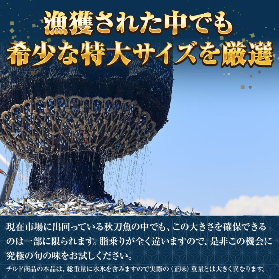 特大生さんま 2kg（15/18尾） 送料無料 生食可能 さんま サンマ 秋刀魚 北海道 → 三陸 母の日 父の日 敬老 中元 ギフト | おさかな問屋 魚奏 | 05