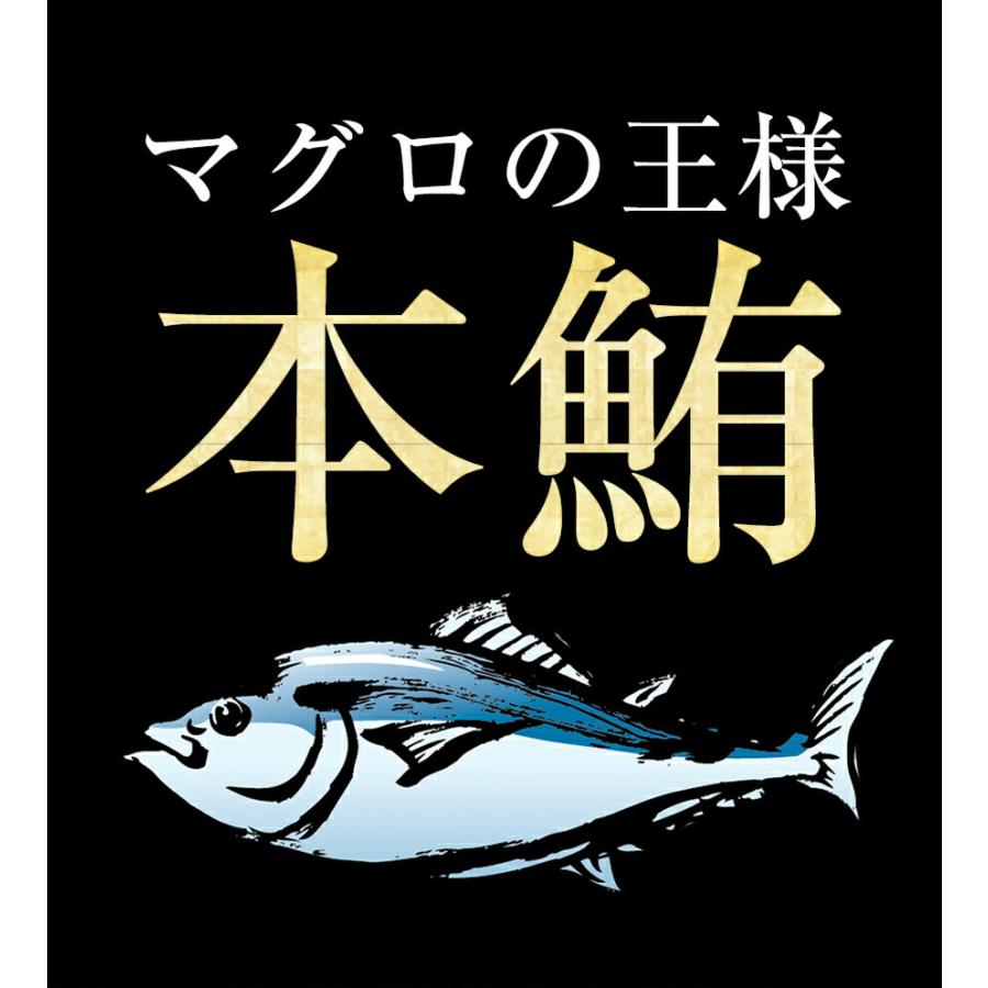 ねぎとろ 300g 冷凍 まぐろ マグロ 本鮪 刺身 海鮮 鉄火丼 たたき 在宅 母の日 父の日 敬老 歳末 お歳暮 年末グルメ 贈答 迎春 | おさかな問屋 魚奏 | 03