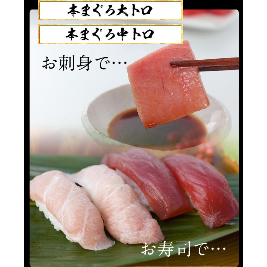 まぐろ三昧 5種 赤身 中トロ 大トロ ほほ肉 メガ盛り1.5kg マグロ 鮪 在宅 母の日 父の日 敬老 歳末 お歳暮 年末グルメ 贈答 迎春 | おさかな問屋 魚奏 | 12