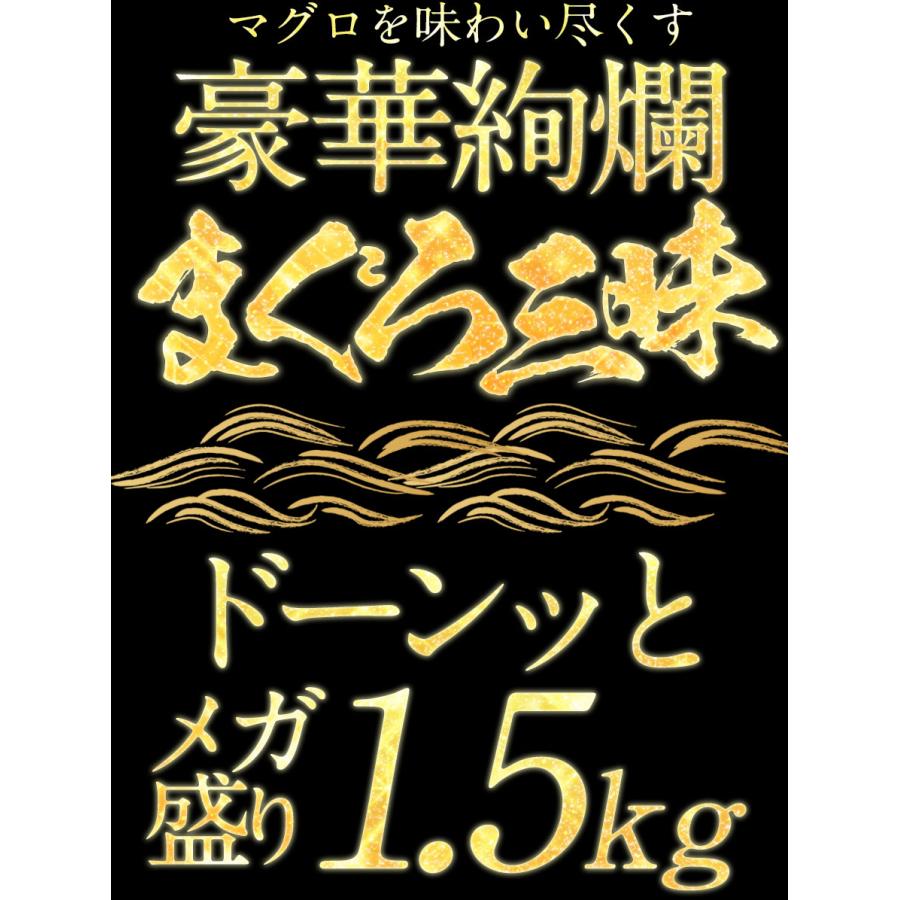まぐろ三昧 5種 赤身 中トロ 大トロ ほほ肉 メガ盛り1.5kg マグロ 鮪 在宅 母の日 父の日 敬老 歳末 お歳暮 年末グルメ 贈答 迎春 | おさかな問屋 魚奏 | 01